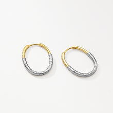 Sterling Silver Two Tone Earrings